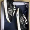 DIOR B27 Low Top Sneaker