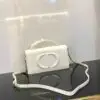 DIOR Signature Mini Bag