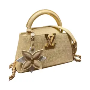 Louis Vuitton Mini Capucines Handbag