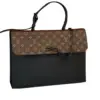 Louis Vuitton Laptop Bag