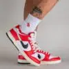 Nike Dunk Low