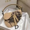DIOR Saddle Embroidered bag