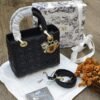 Christian Dior Mini Crossbody Bag