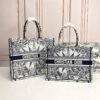 DIOR Book Tote Bag