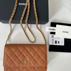 Chanel Classic Flap Bag