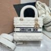 DIOR Medium Lady D-Lite Bag
