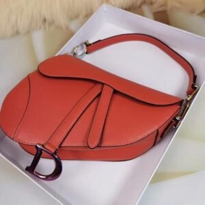 DIOR SADDLE BAG