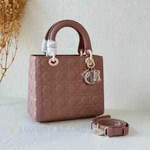 DIOR Chrisbella Leather Bag
