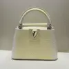 Louis Vuitton Capucines Handbag