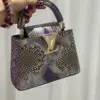 Louis Vuitton Capucines Strikes Bag