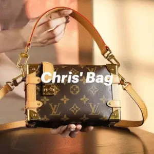 LOUIS VUITTON Side Trunk MM Bag